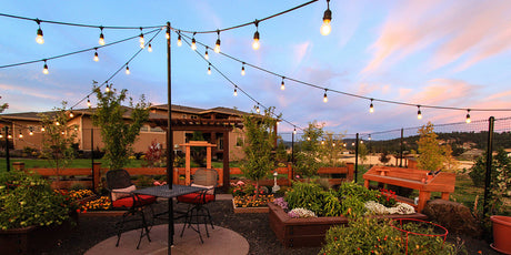 Eco-Friendly Lighting Ideas for Outdoor Spaces