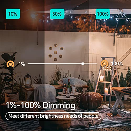 DEWENWILS Dimmer Plug 2 Individually Controlled Outlets, WiFi Light Dimmer  for Outdoor String Lights, Compatible with Alexa, Google Home, IFTTT, IP64  Weatherproof, FCC Certified: : Tools & Home Improvement