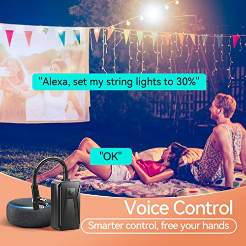 addlon Outdoor Smart Plug Dimmer Switch for Dimmable Lights, String Li –  Addlon